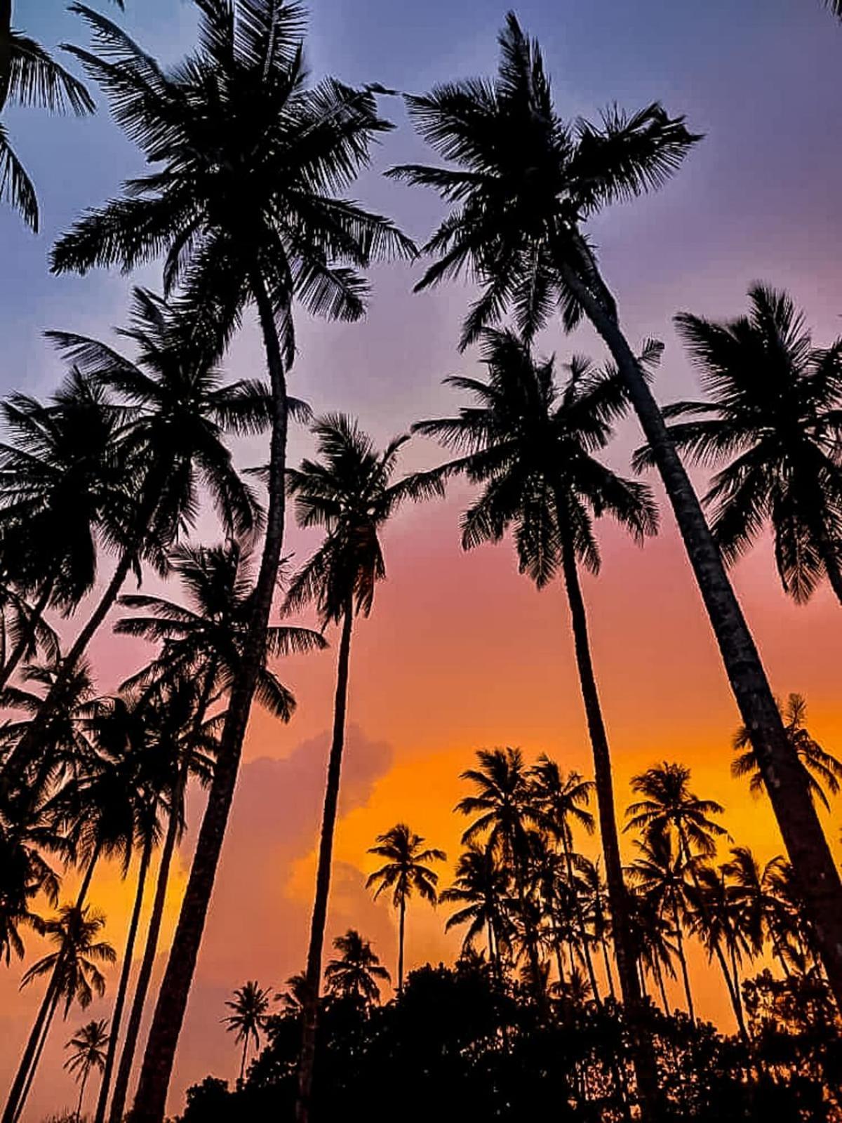 Turtle Island Cabana Tangalle Buitenkant foto